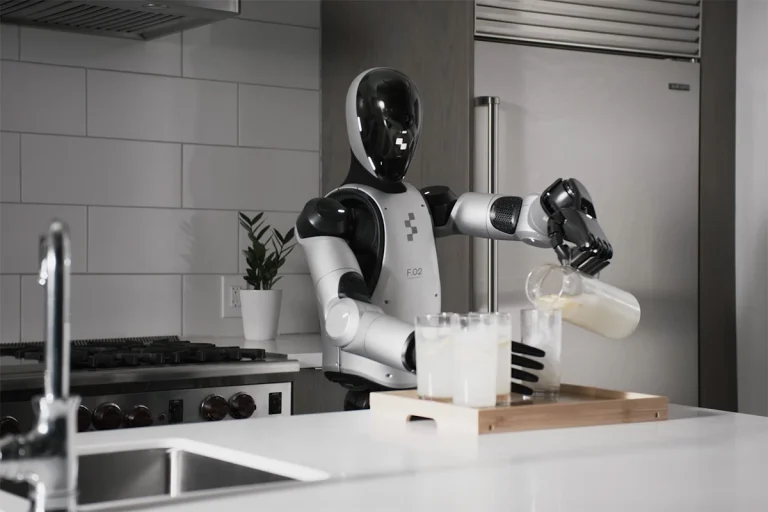 Humanoid Robots for Home: What Consumers Really Want