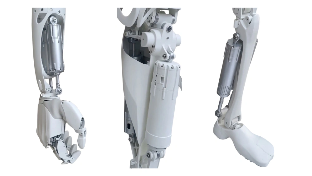 Specific Applications of Modified PA6 in Humanoid Robots: Joint Components