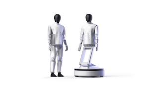 Types of HMND 01 Alpha Robot