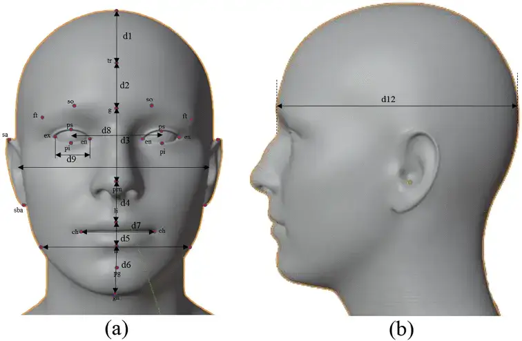 The Humanoid Robot Head Determines the "Perceptual" Limit of the Robot