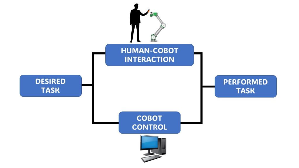 Basic Workflow of Cobot Motion Control