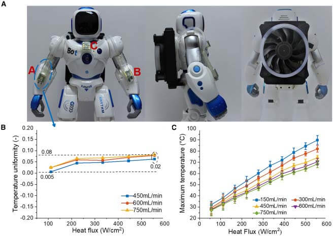 Thermal Management of Humanoid Robots