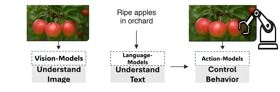 Applications of Vision Language Action Models: Agriculture