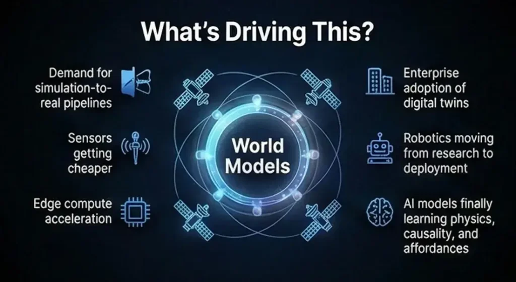 Drivers of AI World Models