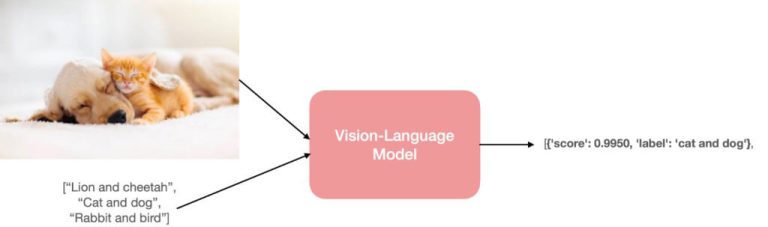 Vision Language Models